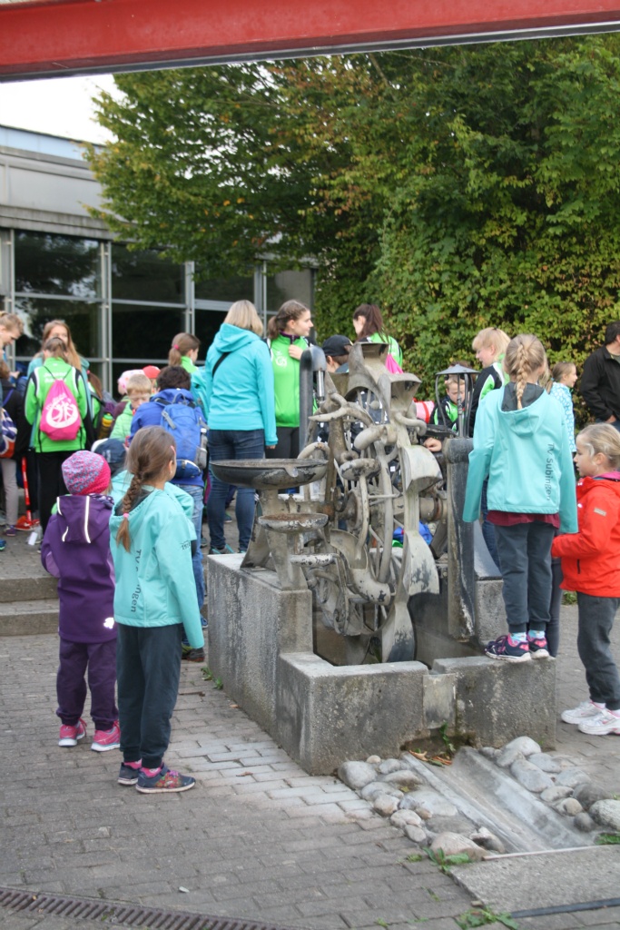Bild 1 (9)